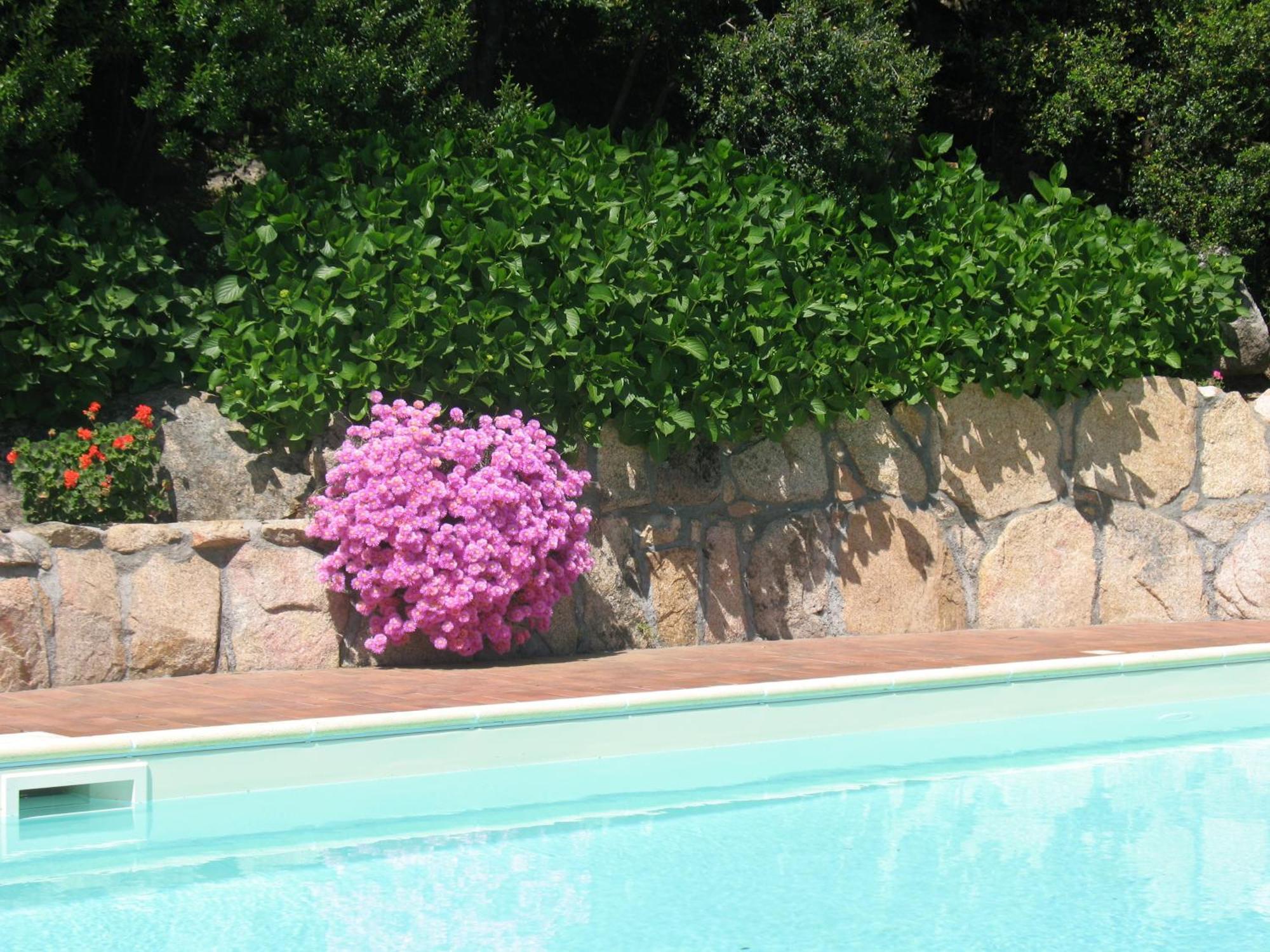 Hotel San Trano Luogosanto